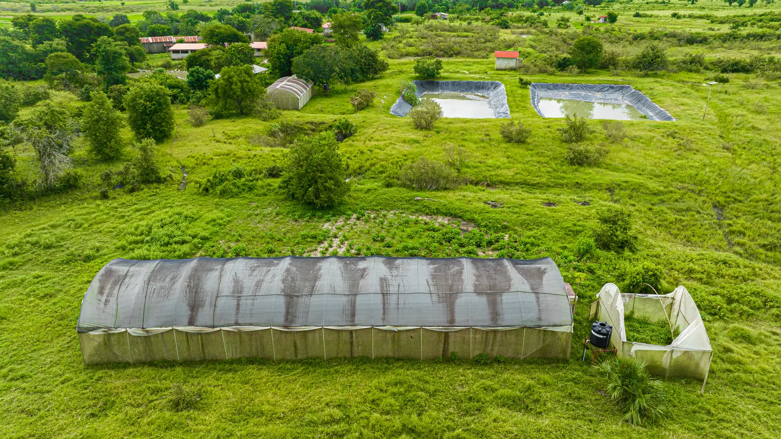 Greenhouse and lined fish ponds on the company farm, from the air
