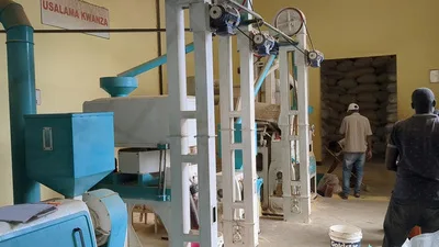 Rice mill processing line in operation