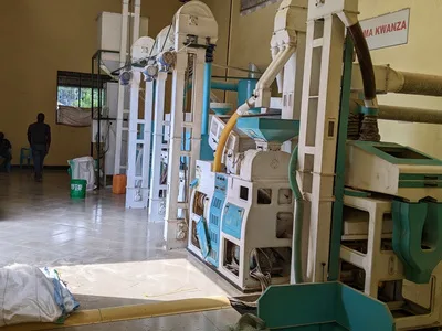 Rice milling and grading machinery inside the Mlandizi plant