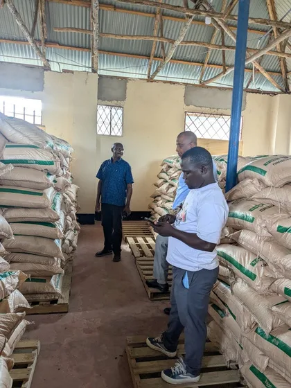 Staff inspecting stacked sacks in the warehouse