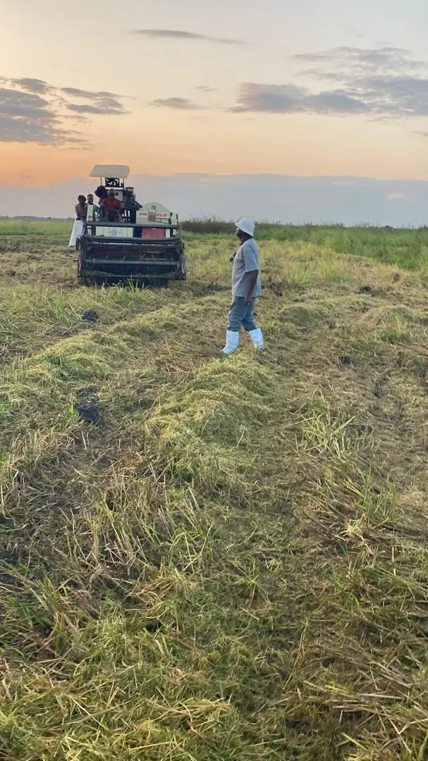 Combine harvester working at dusk
